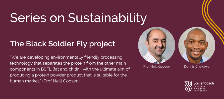 Series on Sustainability: The Black Soldier Fly project